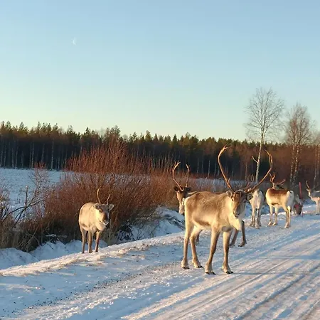 Farmarintupa Villa *