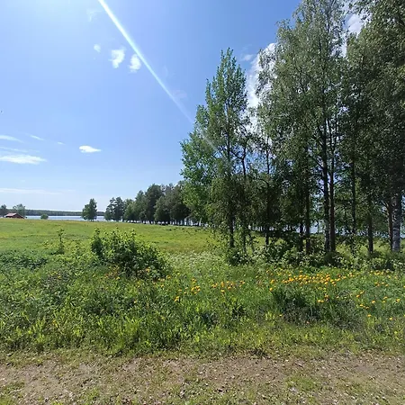 Farmarintupa
