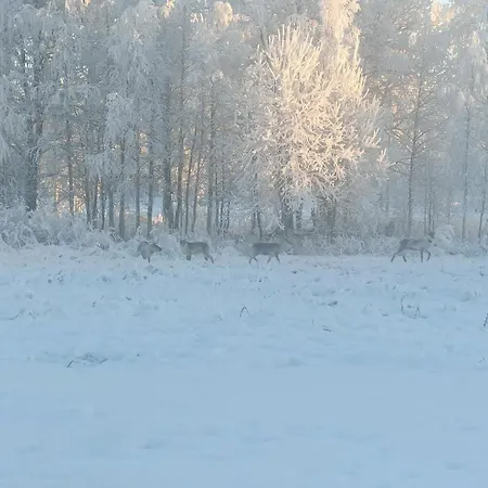 Farmarintupa Portimo