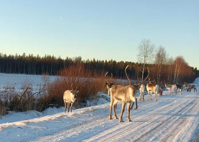 Farmarintupa Вилла *
