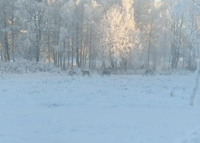 Farmarintupa Portimo